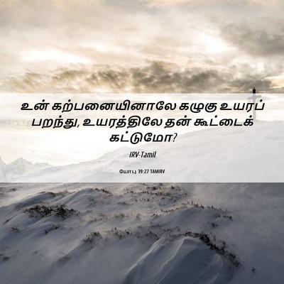 Picture 06 - யோபு 39:27 TAMIRV - உன் கற்பனையினாலே - Bible Verse Picture
