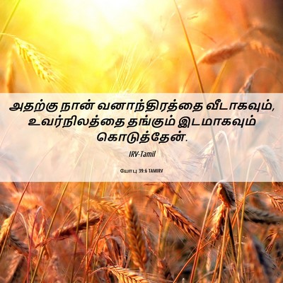 Picture 06 - யோபு 39:6 TAMIRV - அதற்கு நான் - Bible Verse Picture