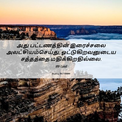 Picture 06 - யோபு 39:7 TAMIRV - அது பட்டணத்தின் - Bible Verse Picture