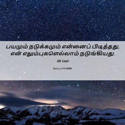 Picture 06 - யோபு 4:14 TAMIRV - பயமும் நடுக்கமும் - Bible Verse Picture