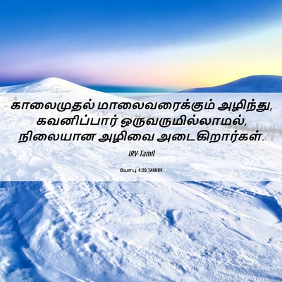 Picture 06 - யோபு 4:20 TAMIRV - காலைமுதல் - Bible Verse Picture