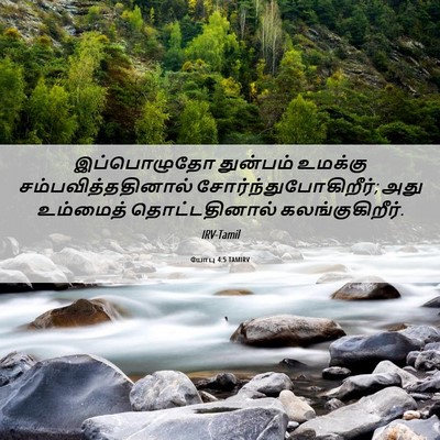 Picture 06 - யோபு 4:5 TAMIRV - இப்பொழுதோ துன்பம் - Bible Verse Picture