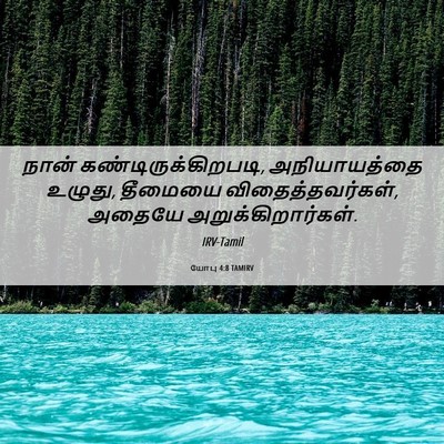 Picture 06 - யோபு 4:8 TAMIRV - நான் - Bible Verse Picture