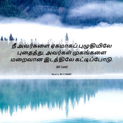Picture 06 - யோபு 40:13 TAMIRV - நீ அவர்களை - Bible Verse Picture