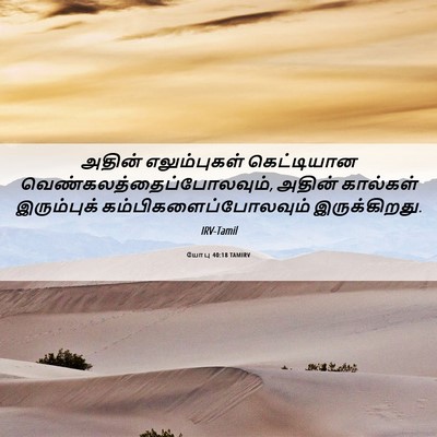Picture 06 - யோபு 40:18 TAMIRV - அதின் எலும்புகள் - Bible Verse Picture