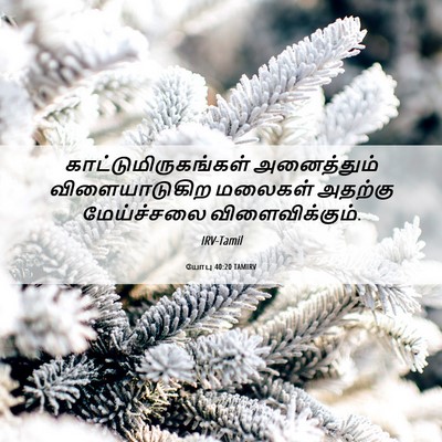 Picture 06 - யோபு 40:20 TAMIRV - காட்டுமிருகங்கள் - Bible Verse Picture