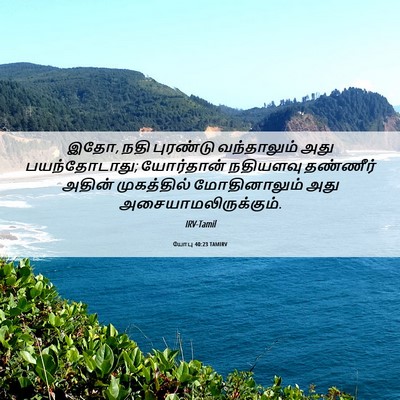 Picture 06 - யோபு 40:23 TAMIRV - இதோ, நதி புரண்டு - Bible Verse Picture