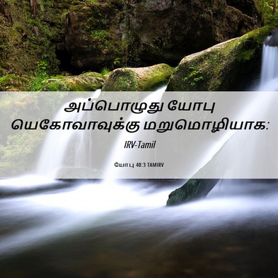 Picture 06 - யோபு 40:3 TAMIRV - அப்பொழுது யோபு - Bible Verse Picture