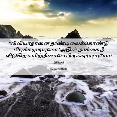 Picture 06 - யோபு 41:1 TAMIRV - “லிவியாதானை - Bible Verse Picture