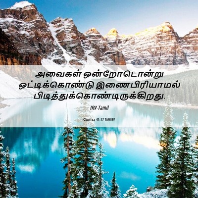 Picture 06 - யோபு 41:17 TAMIRV - அவைகள் - Bible Verse Picture