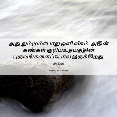 Picture 06 - யோபு 41:18 TAMIRV - அது தும்மும்போது - Bible Verse Picture
