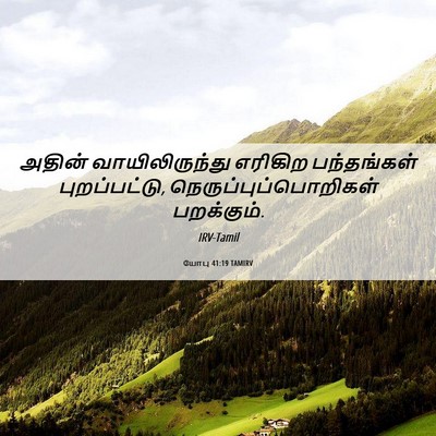Picture 06 - யோபு 41:19 TAMIRV - அதின் - Bible Verse Picture
