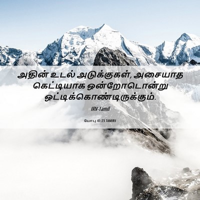 Picture 06 - யோபு 41:23 TAMIRV - அதின் உடல் - Bible Verse Picture