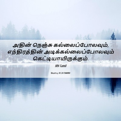 Picture 06 - யோபு 41:24 TAMIRV - அதின் நெஞ்சு - Bible Verse Picture