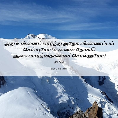 Picture 06 - யோபு 41:3 TAMIRV - அது உன்னைப் - Bible Verse Picture