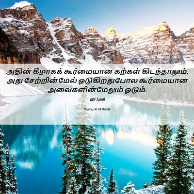 Picture 06 - யோபு 41:30 TAMIRV - அதின் கீழாகக் - Bible Verse Picture