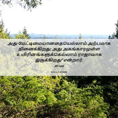 Picture 06 - யோபு 41:34 TAMIRV - அது - Bible Verse Picture