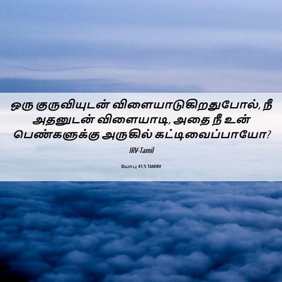 Picture 06 - யோபு 41:5 TAMIRV - ஒரு குருவியுடன் - Bible Verse Picture