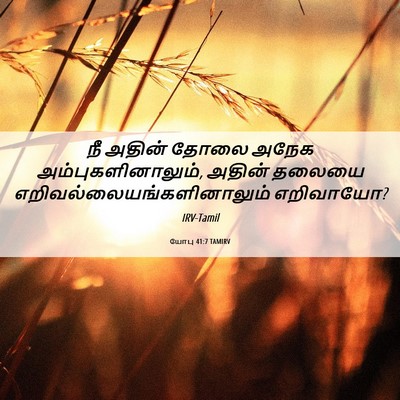 Picture 06 - யோபு 41:7 TAMIRV - நீ அதின் தோலை அநேக - Bible Verse Picture