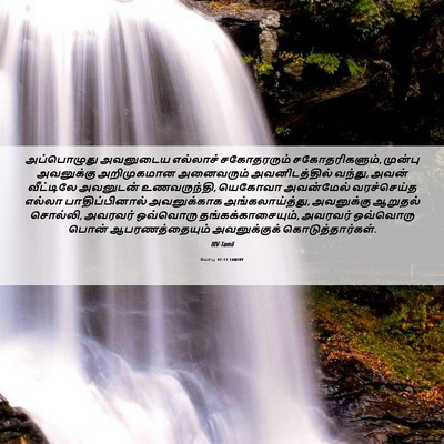 Picture 06 - யோபு 42:11 TAMIRV - அப்பொழுது அவனுடைய - Bible Verse Picture