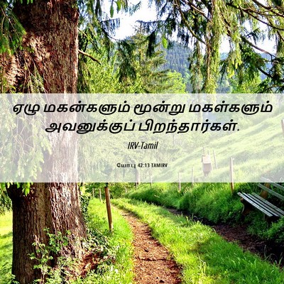 Picture 06 - யோபு 42:13 TAMIRV - ஏழு மகன்களும் - Bible Verse Picture
