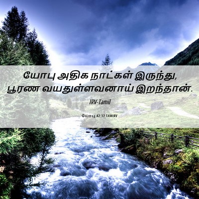 Picture 06 - யோபு 42:17 TAMIRV - யோபு அதிக நாட்கள் - Bible Verse Picture