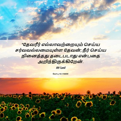 Picture 06 - யோபு 42:2 TAMIRV - “தேவரீர் - Bible Verse Picture