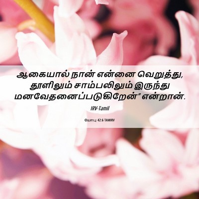 Picture 06 - யோபு 42:6 TAMIRV - ஆகையால் நான் - Bible Verse Picture
