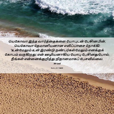 Picture 06 - யோபு 42:7 TAMIRV - யெகோவா இந்த - Bible Verse Picture