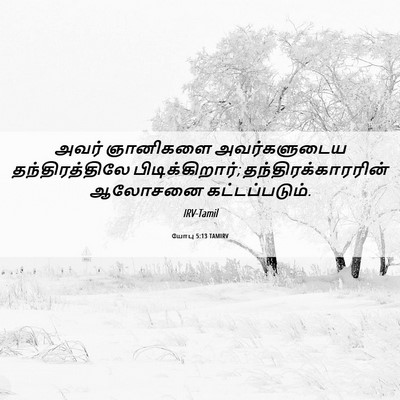 Picture 06 - யோபு 5:13 TAMIRV - அவர் ஞானிகளை - Bible Verse Picture