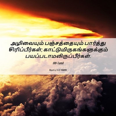 Picture 06 - யோபு 5:22 TAMIRV - அழிவையும் - Bible Verse Picture
