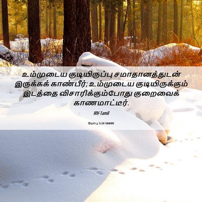 Picture 06 - யோபு 5:24 TAMIRV - உம்முடைய - Bible Verse Picture