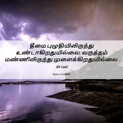 Picture 06 - யோபு 5:6 TAMIRV - தீமை - Bible Verse Picture