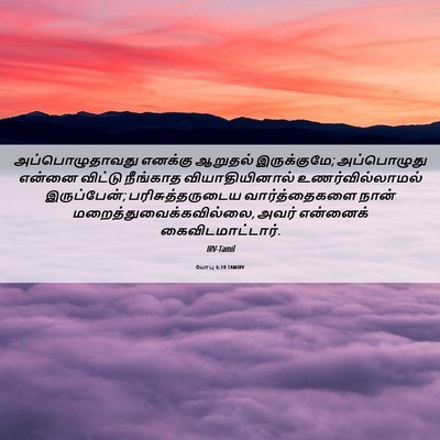 Picture 06 - யோபு 6:10 TAMIRV - அப்பொழுதாவது - Bible Verse Picture