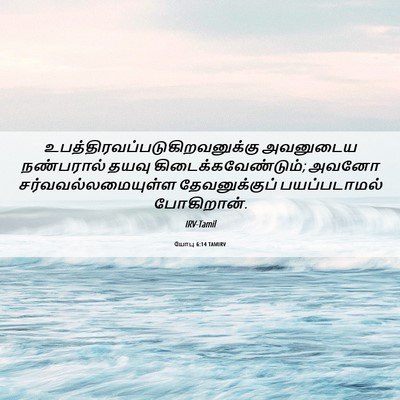 Picture 06 - யோபு 6:14 TAMIRV -  - Bible Verse Picture
