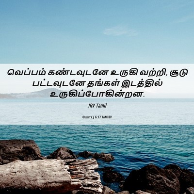 Picture 06 - யோபு 6:17 TAMIRV - வெப்பம் கண்டவுடனே - Bible Verse Picture