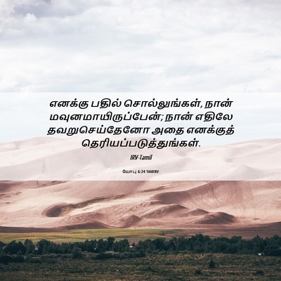 Picture 06 - யோபு 6:24 TAMIRV - எனக்கு பதில் - Bible Verse Picture