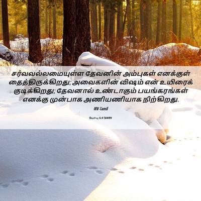 Picture 06 - யோபு 6:4 TAMIRV - சர்வவல்லமையுள்ள - Bible Verse Picture