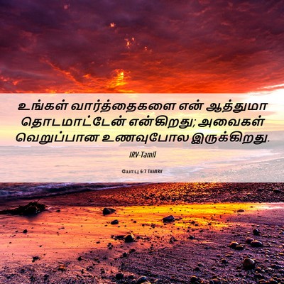Picture 06 - யோபு 6:7 TAMIRV - உங்கள் - Bible Verse Picture