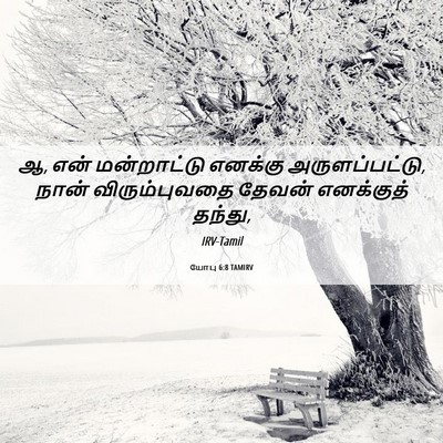 Picture 06 - யோபு 6:8 TAMIRV - ஆ, என் மன்றாட்டு - Bible Verse Picture