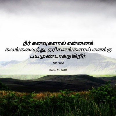 Picture 06 - யோபு 7:14 TAMIRV - நீர் கனவுகளால் - Bible Verse Picture