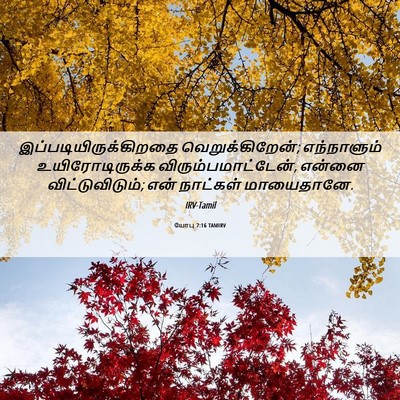 Picture 06 - யோபு 7:16 TAMIRV -  - Bible Verse Picture