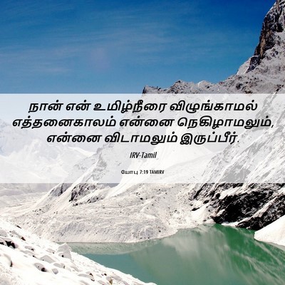 Picture 06 - யோபு 7:19 TAMIRV - நான் என் - Bible Verse Picture