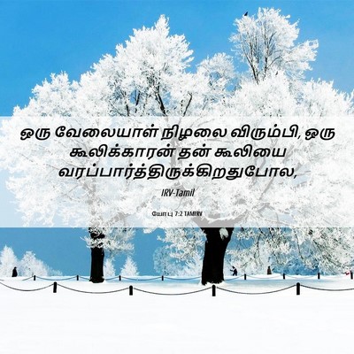 Picture 06 - யோபு 7:2 TAMIRV - ஒரு வேலையாள் - Bible Verse Picture