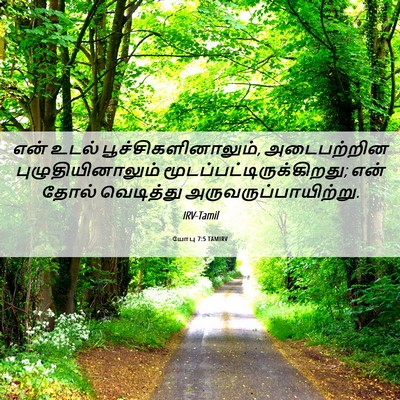 Picture 06 - யோபு 7:5 TAMIRV - என் உடல் - Bible Verse Picture