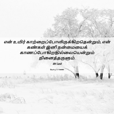 Picture 06 - யோபு 7:7 TAMIRV - என் உயிர் - Bible Verse Picture