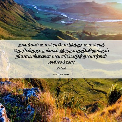 Picture 06 - யோபு 8:10 TAMIRV - அவர்கள் உமக்கு - Bible Verse Picture
