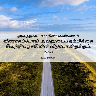 Picture 06 - யோபு 8:14 TAMIRV - அவனுடைய வீண் - Bible Verse Picture