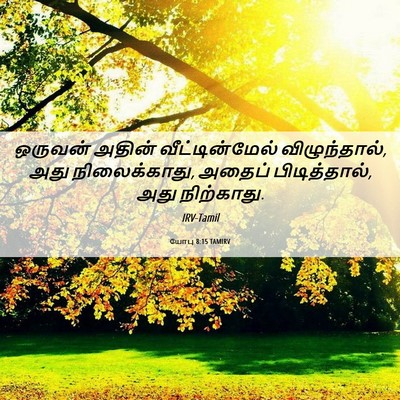 Picture 06 - யோபு 8:15 TAMIRV - ஒருவன் அதின் - Bible Verse Picture