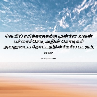 Picture 06 - யோபு 8:16 TAMIRV - வெயில் - Bible Verse Picture